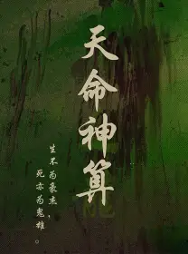  天命神算（80集）