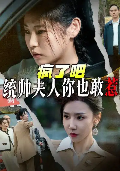  疯了吧统帅夫人你也敢惹（33集）