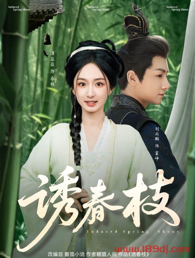  诱春枝（77集）